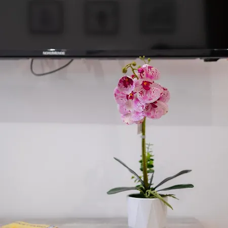 Appartamento La Casa Al Mercato - Self Check-in Palermo