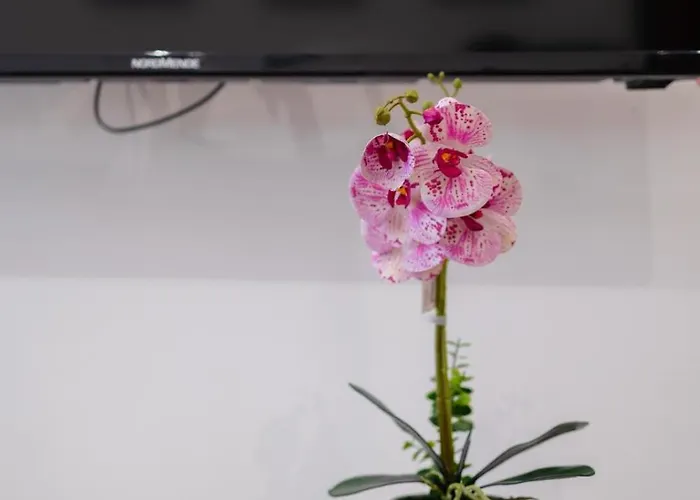 Apartment La Casa Al Mercato - Self Check-in Palermo